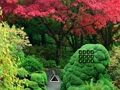 Leikur Maple Leaf Garden Escape á netinu