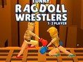 Leikur Fyndnir Ragdoll Wrestlers  á netinu