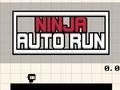 Leikur Ninja Auto Run á netinu