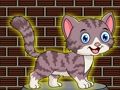 Leikur Elskulegur Small Cat Escape  á netinu