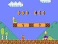 Leikur Super Mario Bros: Road to Infinity á netinu