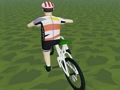 Leikur Að hjóla í Extreme 3D  á netinu