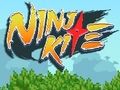 Leikur Ninja flugdreki  á netinu