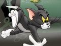 Leikur Tom og Jerry Chase í Marsh  á netinu