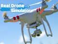 Leikur Raunverulegur drone hermir  á netinu