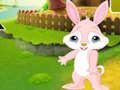 Leikur Finndu Buddy Rabbit  á netinu