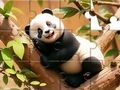 Leikur Jigsaw þraut: Panda á tré á netinu
