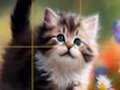 Leikur Puzzle rennandi kettlingar á netinu