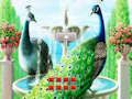 Leikur Flýja frá Peacock Land  á netinu