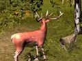 Leikur Stag Hunt á netinu