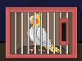 Leikur Gefa út The Cockatiel Bird  á netinu