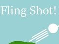 Leikur Fling Shot á netinu