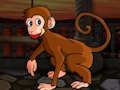 Leikur Örlítið Macaque Escape  á netinu