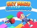 Leikur Sky Maze Challenge á netinu