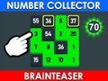 Leikur Númerasafnari: Brainteaser  á netinu