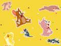 Leikur Tom og Jerry þátturinn Finndu það!  á netinu