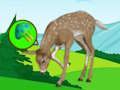 Leikur Deer Meadow Escape  á netinu