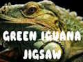 Leikur Grænt Iguana Jigsaw  á netinu