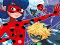 Leikur Ladybug Finndu muninn  á netinu