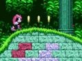 Leikur Mighty & Ray í Sonic 2  á netinu