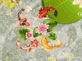 Leikur Koi fiskatjörn  á netinu