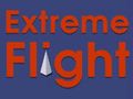 Leikur Öfgafullt flug á netinu