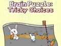 Leikur Brain Puzzle: Erfitt val  á netinu