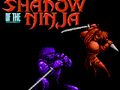 Leikur Skuggi Ninja á netinu