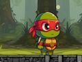 Leikur Turtle Quest á netinu