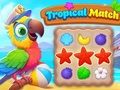 Leikur Tropical Match á netinu