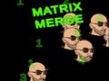 Leikur Matrix sameinast á netinu