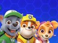 Leikur Paw Patrol á netinu
