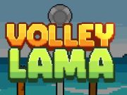 Leikur Volley Lama á netinu
