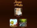 Leikur Jigsaw meistari á netinu