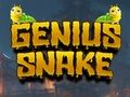 Leikur Snillingur Snake  á netinu