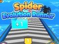 Leikur Kónguló Evolution Runner á netinu