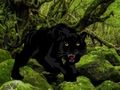 Leikur Flýja frá Black Panther Forest  á netinu