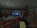 Leikur Call of Duty: Zombies á netinu