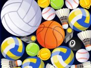 Leikur Sport sameining  á netinu