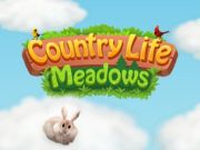 Leikur Sveitalíf Meadows  á netinu