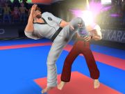 Leikur Karate bardagamaður  á netinu