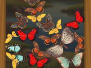 Leikur Sameina Butterfly  á netinu