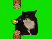 Leikur Flappy fugl snúningur oia oia köttur  á netinu
