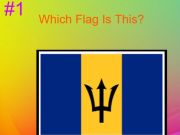 Leikur 30s Hard Flag Quiz  á netinu