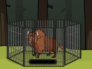 Leikur Bjarga bisoninu frá búrinu  á netinu