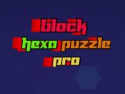 Leikur Block Hexa Puzzle Pro  á netinu