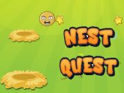 Leikur Nest leit  á netinu