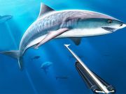 Leikur Veiðar neðansjávar spearfishing á netinu