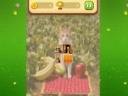 Leikur Farm Cat Memory Match á netinu