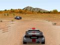 Leikur 3D Rally  á netinu